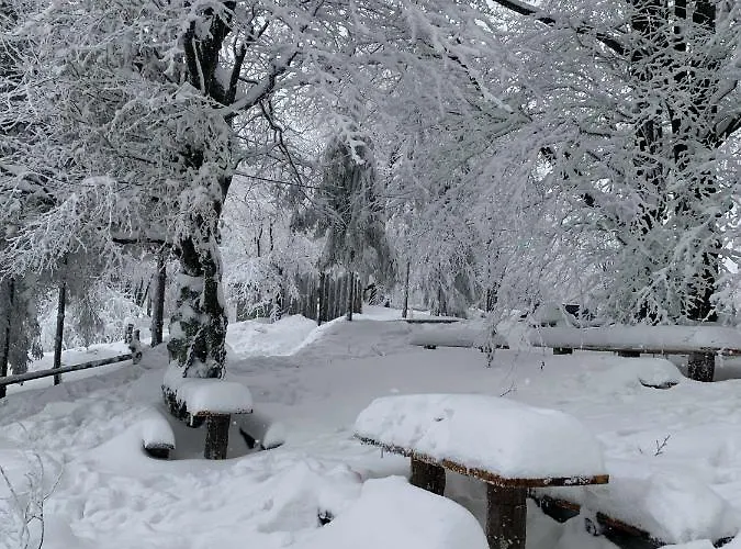 W Ustroniu Apartment *